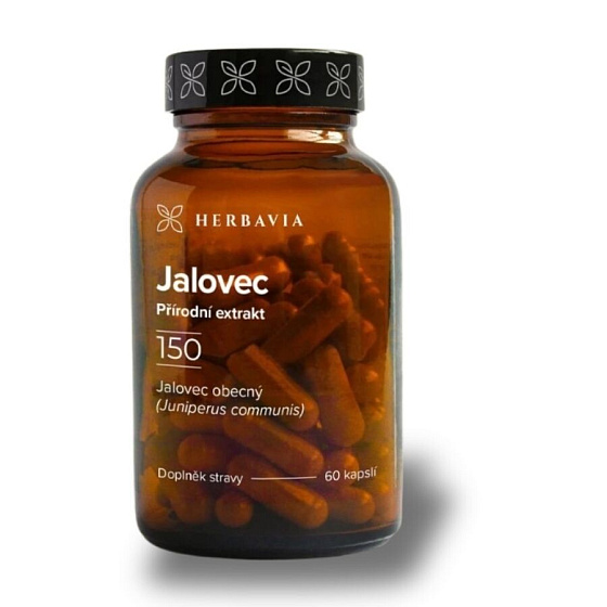 Jalovec