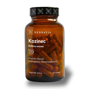 Kozinec blanitý Kozinec blanitý