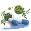 Suplimente nutritive Moringa
