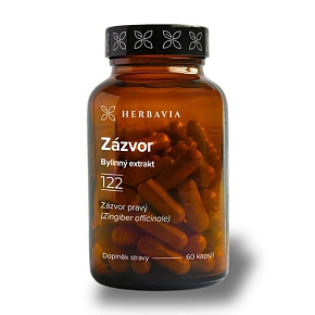 Zázvor Zázvor