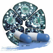 Alaptid Medicamente
